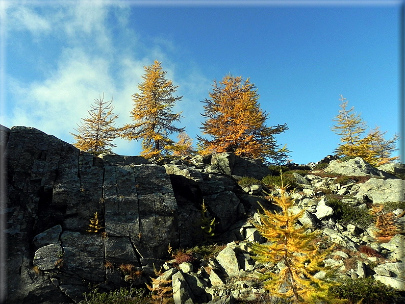 foto Salita al Rifugio Barbustel